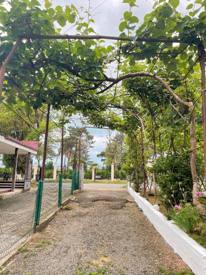 Guesthouse On Agmashenebeli 328 Kobuleti Eksteriør billede